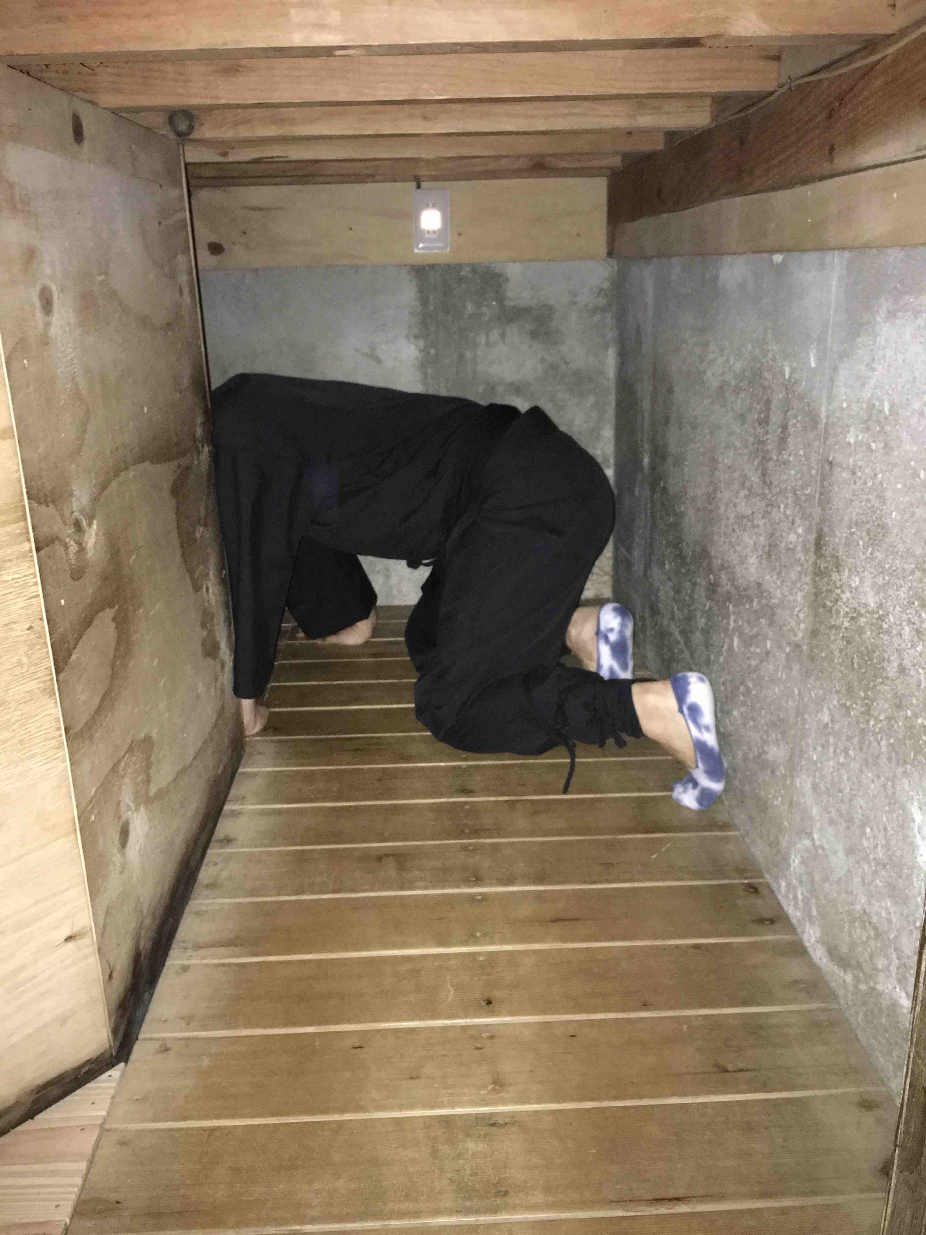 Togakushi Ninja Village Enjoy the Attractions in Nagano