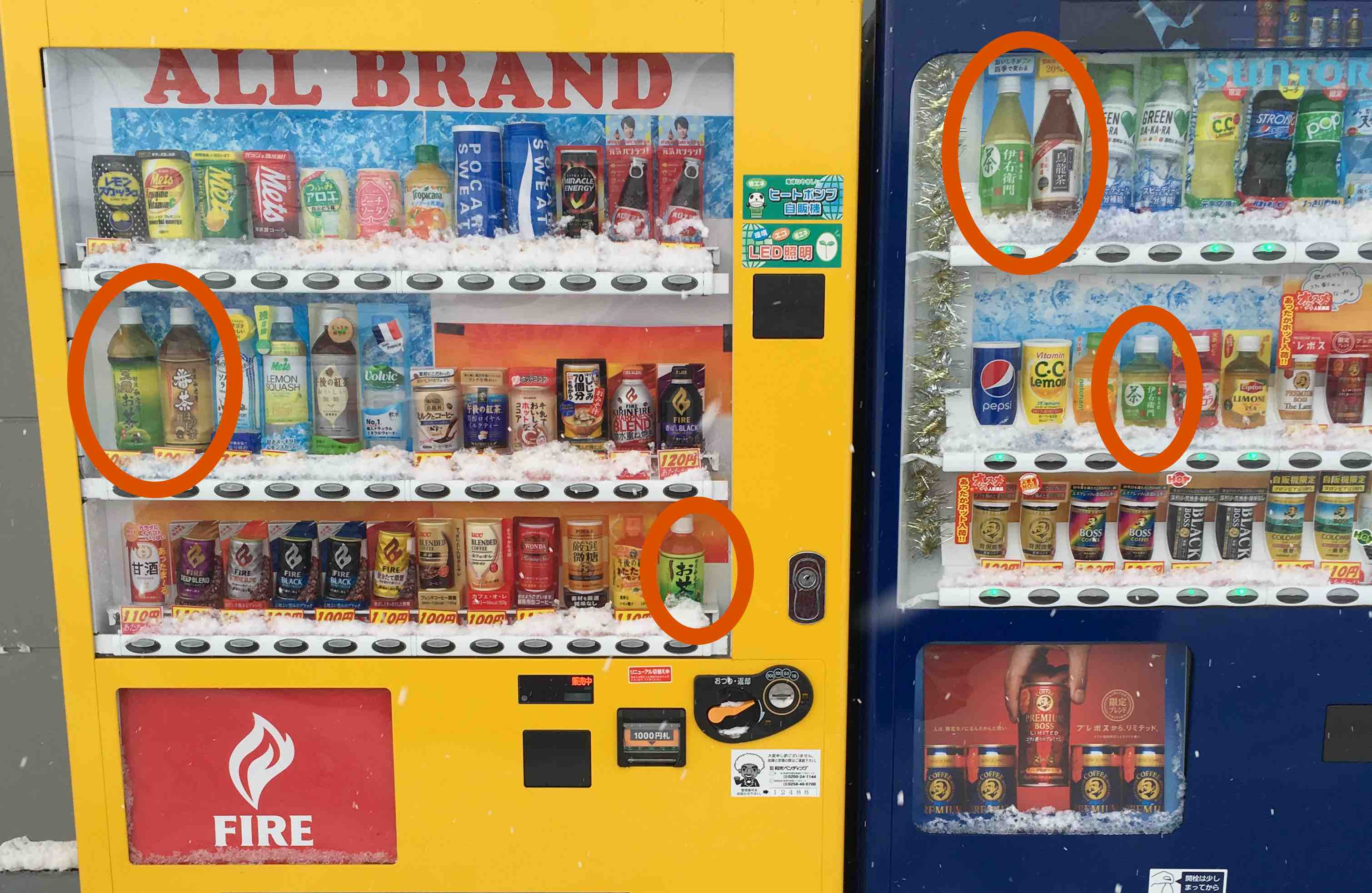 ItoEn Oi Ocha The Bestselling Japanese Green Tea Pet Bottle Brand