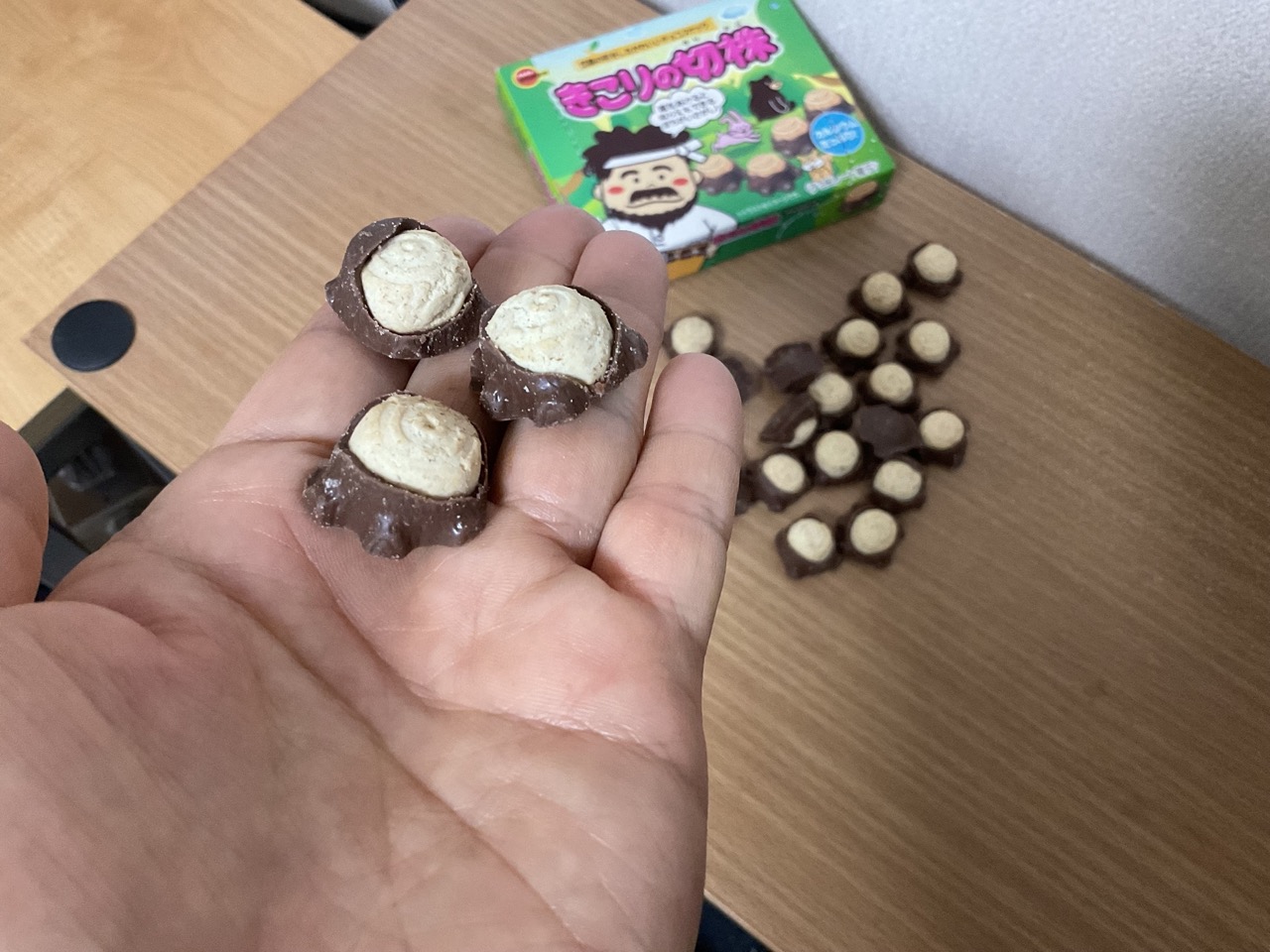 Kikori no Kirikabu: Bourbon's Classic Chocolate Cookies